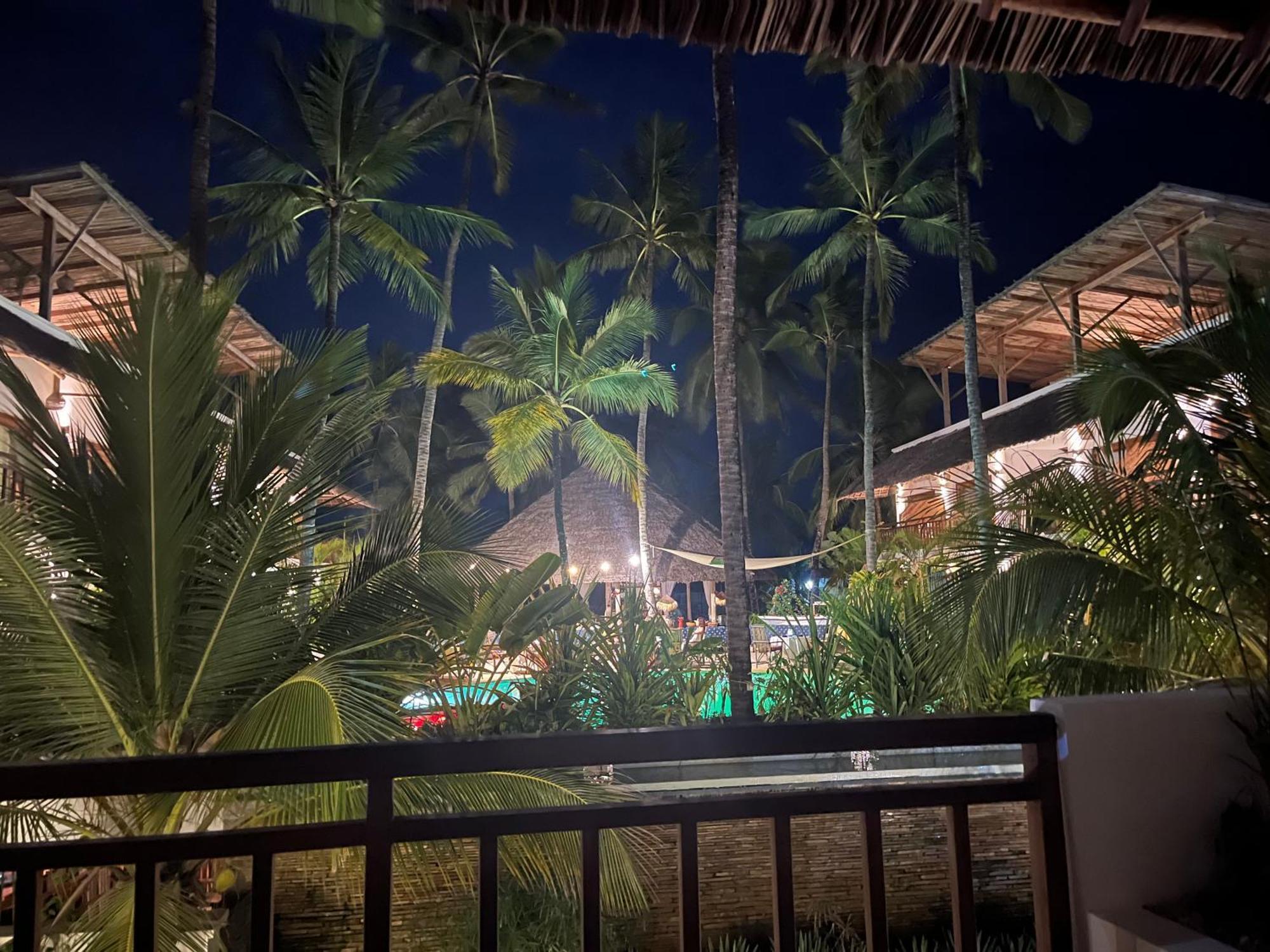 Aluna Paje Phòng bức ảnh